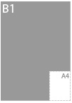 B1<br/><span style='font-size:11px;'>(70,0 * 100,0 cm)</span>